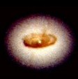 dust-around-bh-m.jpg
