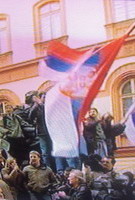 p3.jpg