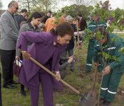 kneginja-sadi.jpg