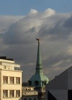 pogled-orao-m